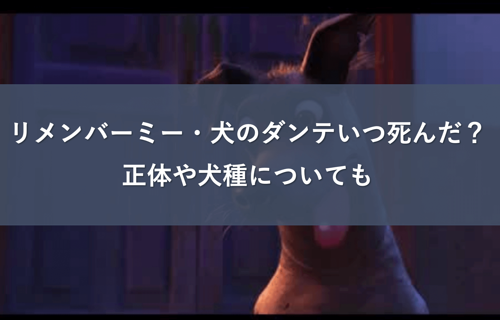 リメンバーミー 犬のダンテいつ死んだ 正体や犬種についても プレシネマ情報局 リメンバーミー 犬のダンテいつ死んだ 正体や犬種についても プレシネマ情報局