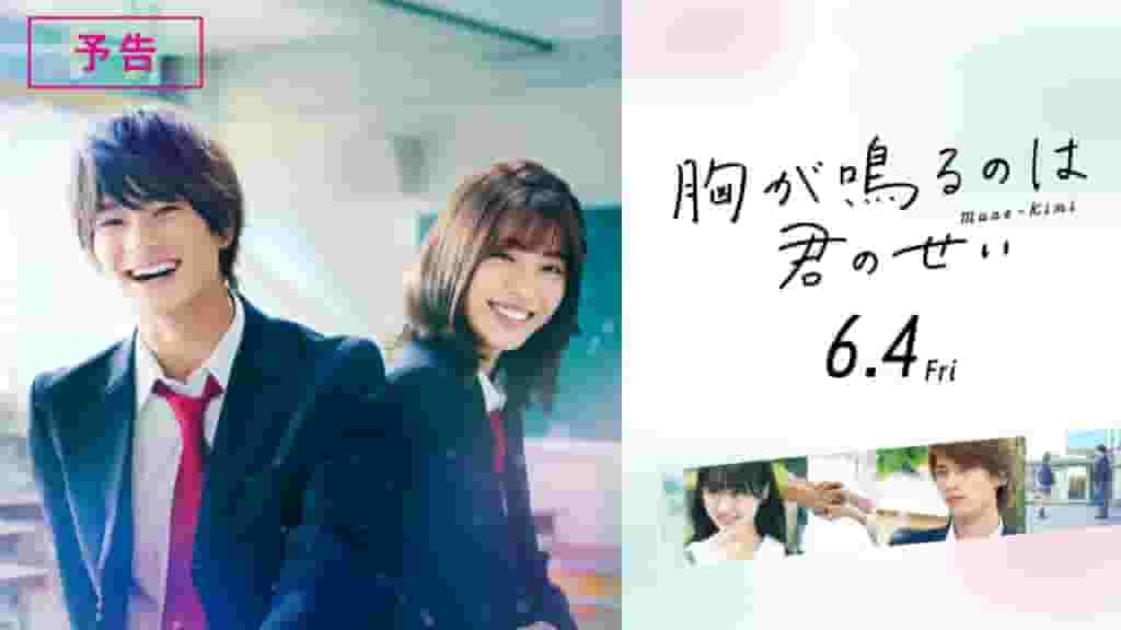 「胸が鳴るのは君のせい」はNetflixで見れる？