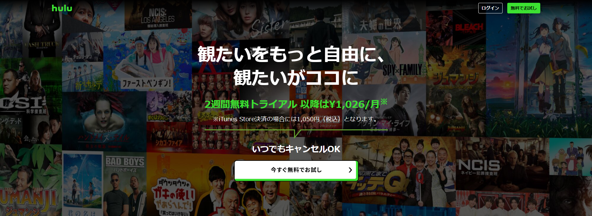 Huluなら2週間無料お試し！日本テレビ系ドラマに強い！